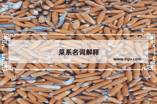菜系名词解释
