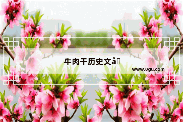 牛肉干历史文化