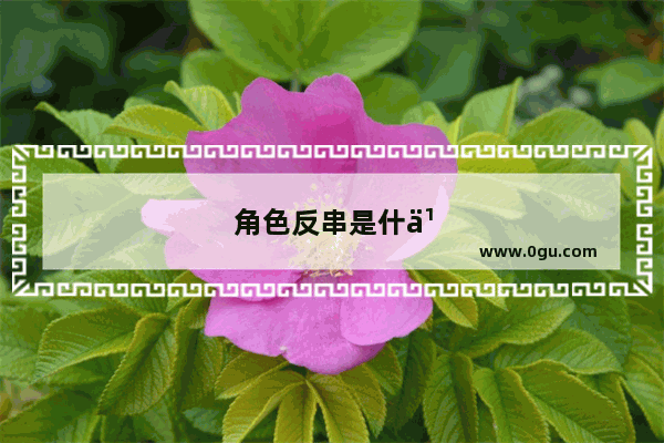 角色反串是什么意思