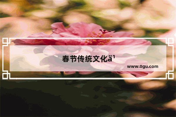 春节传统文化习俗种类有哪些