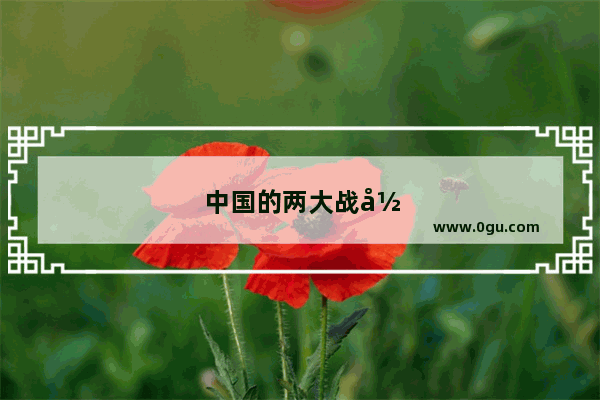中国的两大战役
