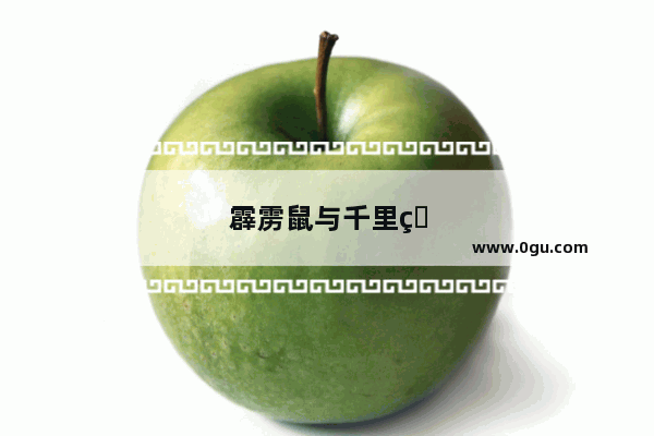 霹雳鼠与千里猫的故事