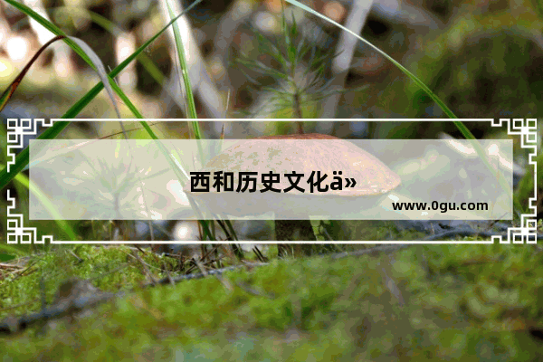 西和历史文化介绍
