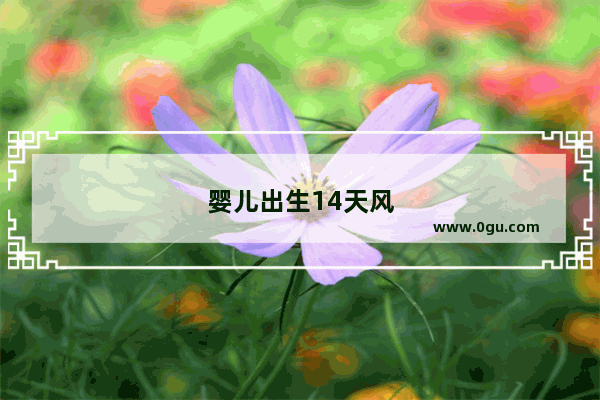 婴儿出生14天风俗