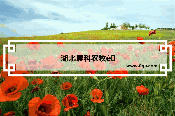 湖北晨科农牧集团股份有限公司怎么样