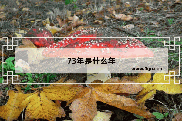 73年是什么年