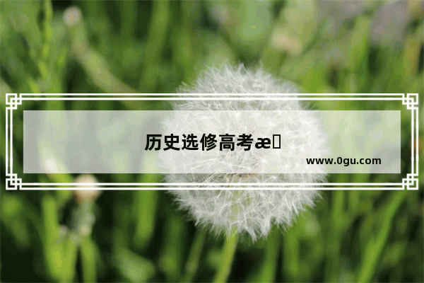 历史选修高考怎么考