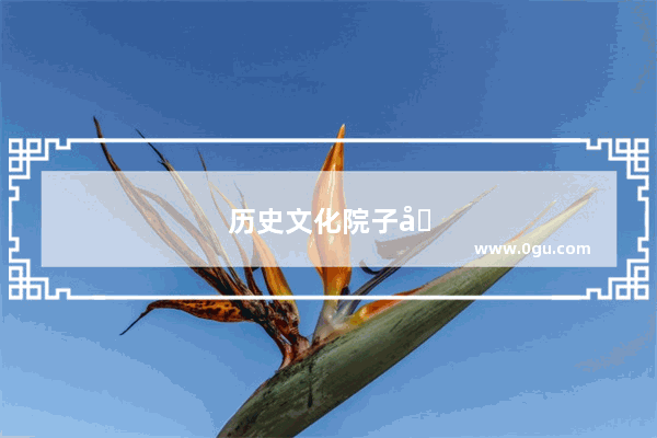 历史文化院子图片大全
