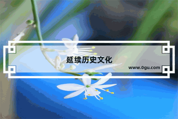 延续历史文化