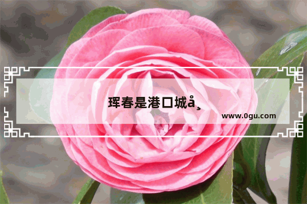 珲春是港口城市吗