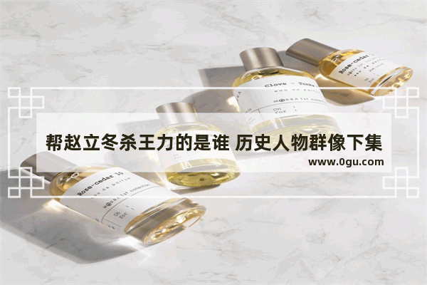 帮赵立冬杀王力的是谁 历史人物群像下集