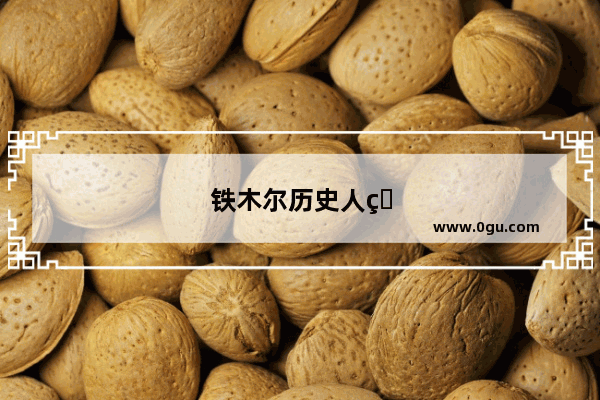 铁木尔历史人物介绍