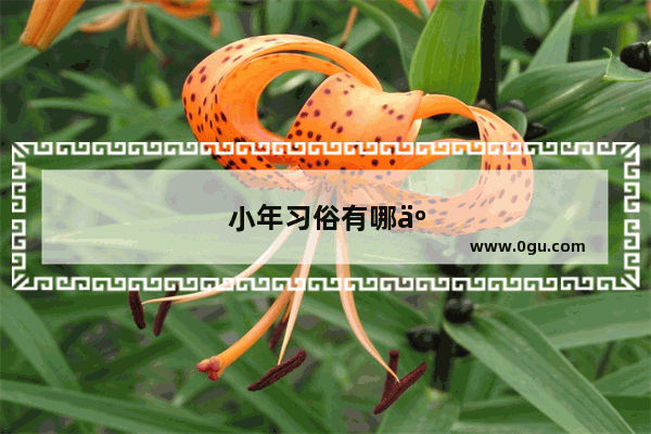 小年习俗有哪些