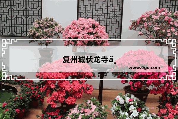复州城伏龙寺为什么叫财神故里