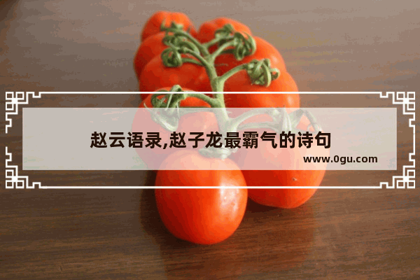 赵云语录,赵子龙最霸气的诗句