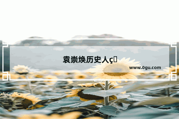 袁崇焕历史人物评价