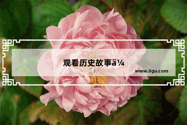 观看历史故事会心得体会怎么写