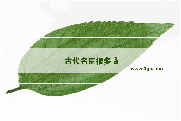 古代名臣很多 历史上最正直的官员是谁