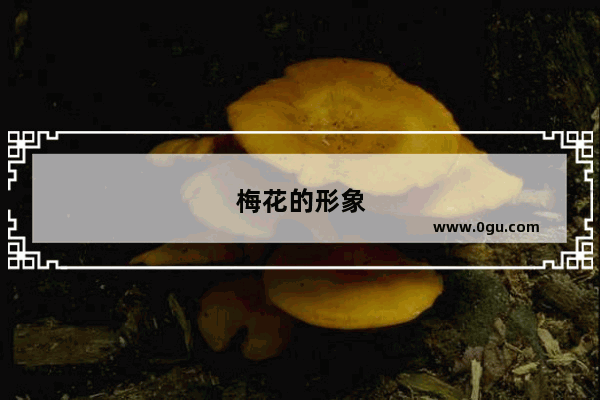 梅花的形象