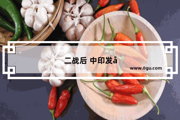 二战后 中印发展条件对比