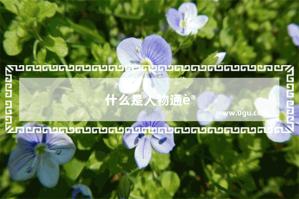 什么是人物通讯