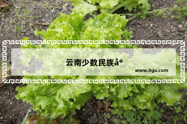 云南少数民族小年是哪一天