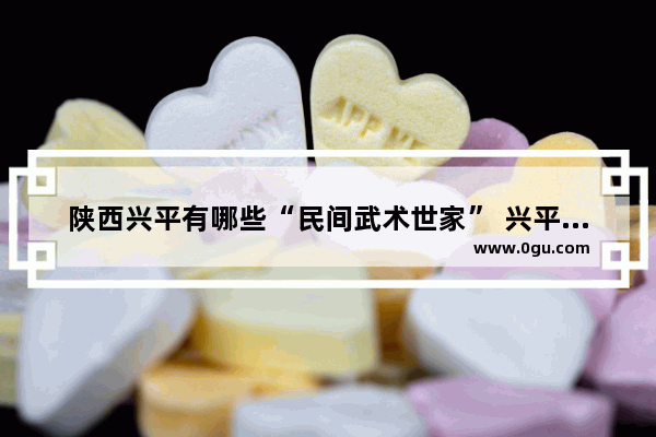 陕西兴平有哪些“民间武术世家” 兴平文化历史人物