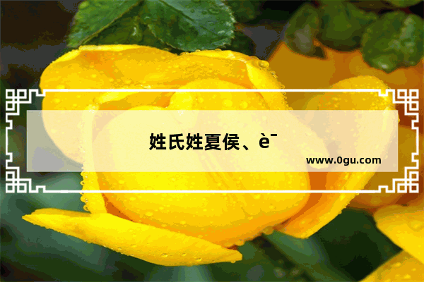姓氏姓夏侯、诸葛、欧阳、上官、尉迟、司马、端木、呼延东方、皇甫、令狐、轩辕的名人各有哪些