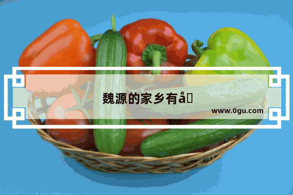 魏源的家乡有哪些名人