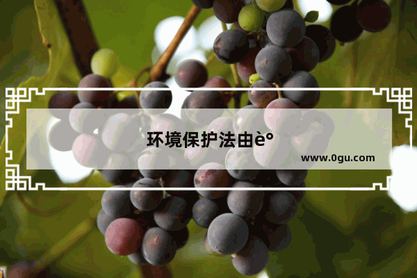 环境保护法由谁制定