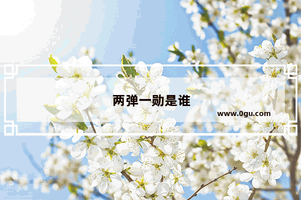 两弹一勋是谁