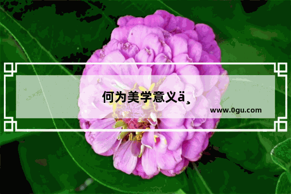何为美学意义与艺术手法