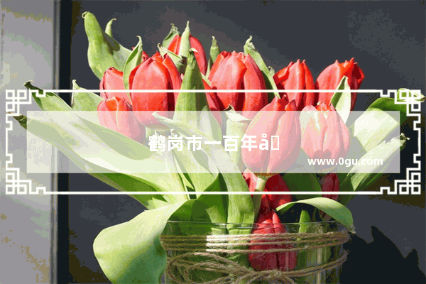 鹤岗市一百年历史故事