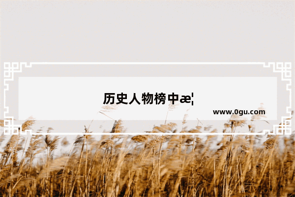 历史人物榜中榜是什么