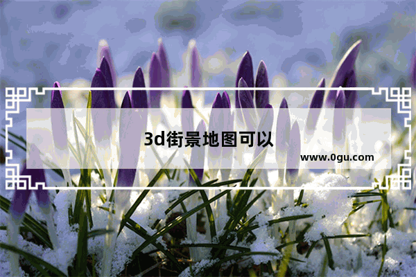 3d街景地图可以看几年前的吗