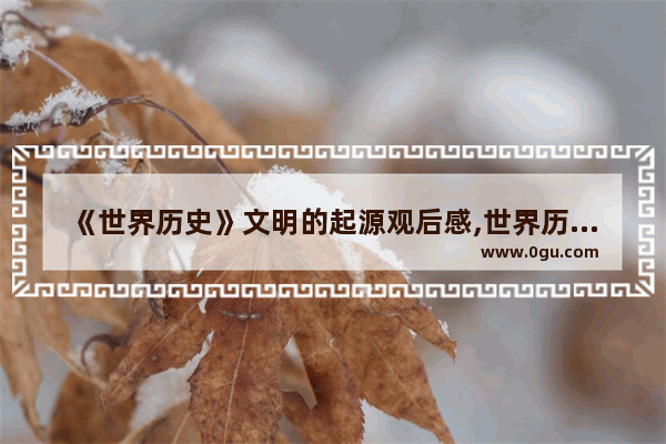 《世界历史》文明的起源观后感,世界历史之文明起源小说