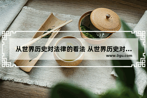 从世界历史对法律的看法 从世界历史对法律的看法