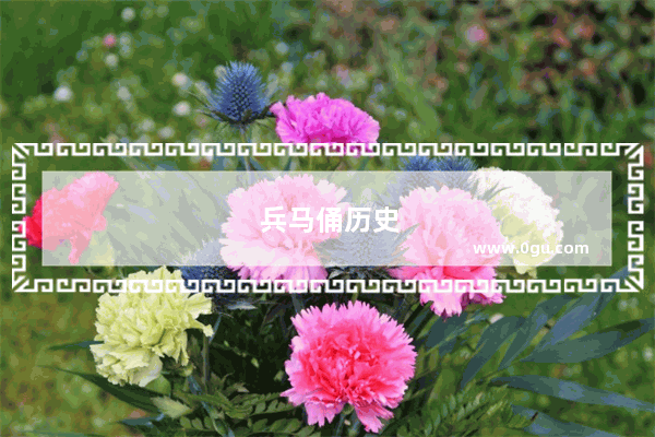 兵马俑历史