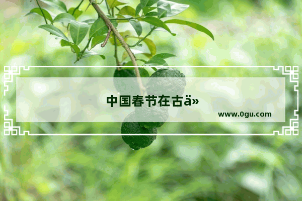 中国春节在古代各朝代有哪些特殊的习俗呢