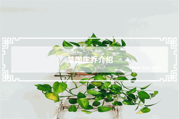 楚国庄乔介绍