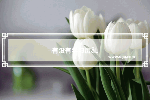 有没有学习历史的软件
