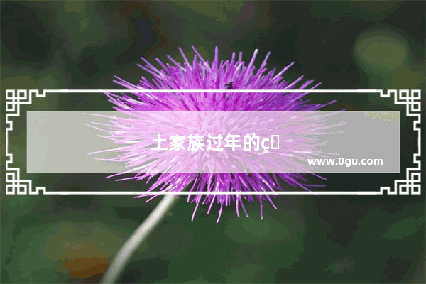 土家族过年的特点