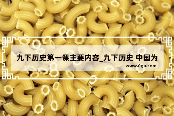 九下历史第一课主要内容_九下历史 中国为适应经济全球化做的努力