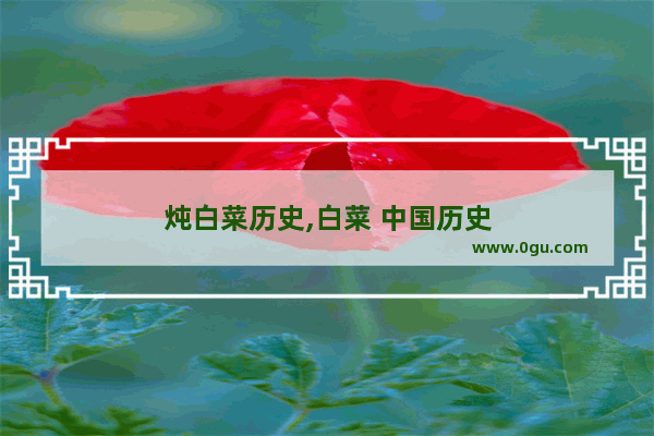 炖白菜历史,白菜 中国历史
