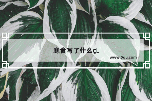 寒食写了什么的风俗