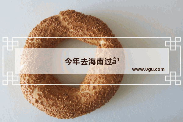 今年去海南过年吗