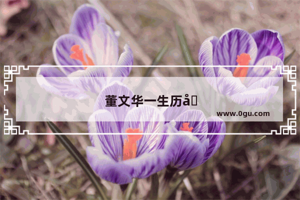 董文华一生历史