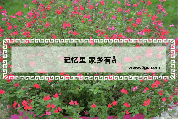 记忆里 家乡有哪些特别难忘的特色传统文化习俗再也看不见了