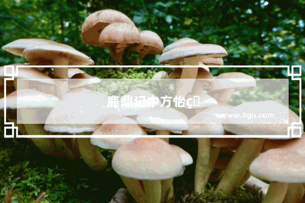 鹿鼎记中方怡的师妹是谁