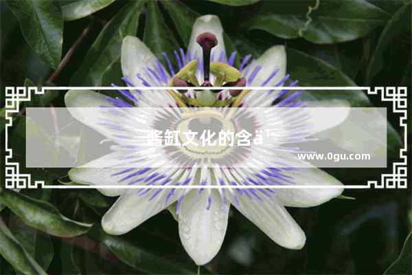 酱缸文化的含义